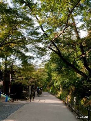 清水寺