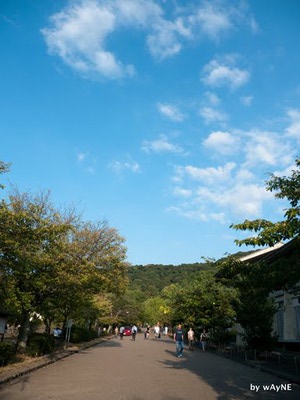 八坂神社