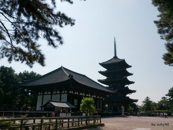 国宝館 & 五層塔