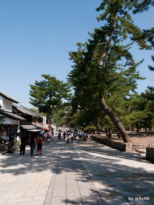 東大寺