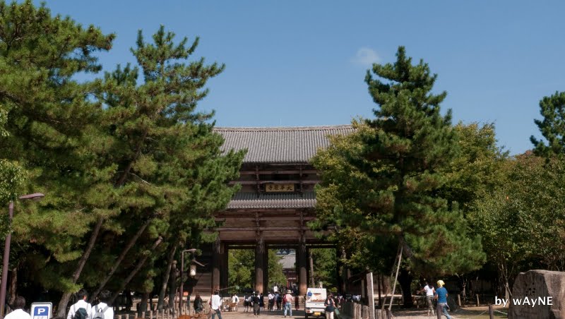 東大寺
