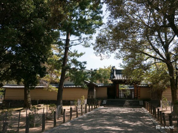 東大寺