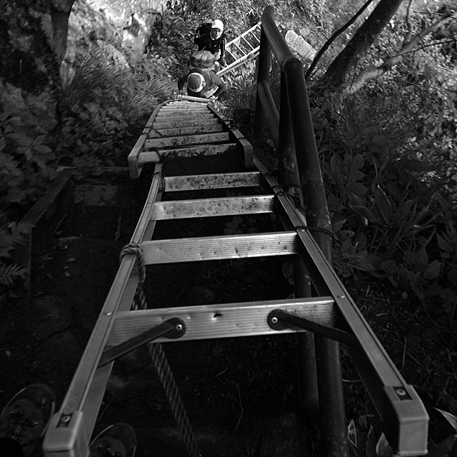 Ladder