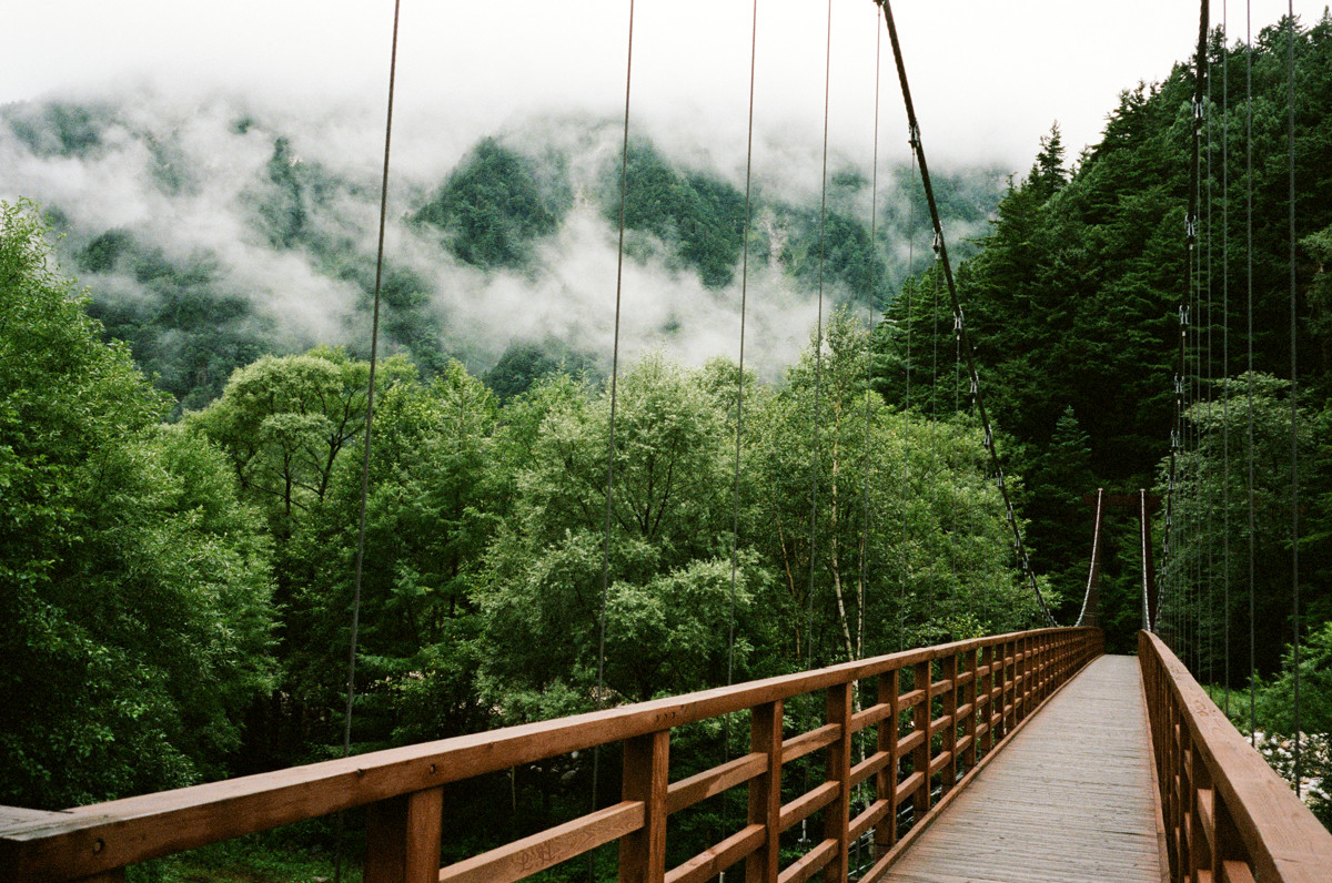 bridge to wonderland
