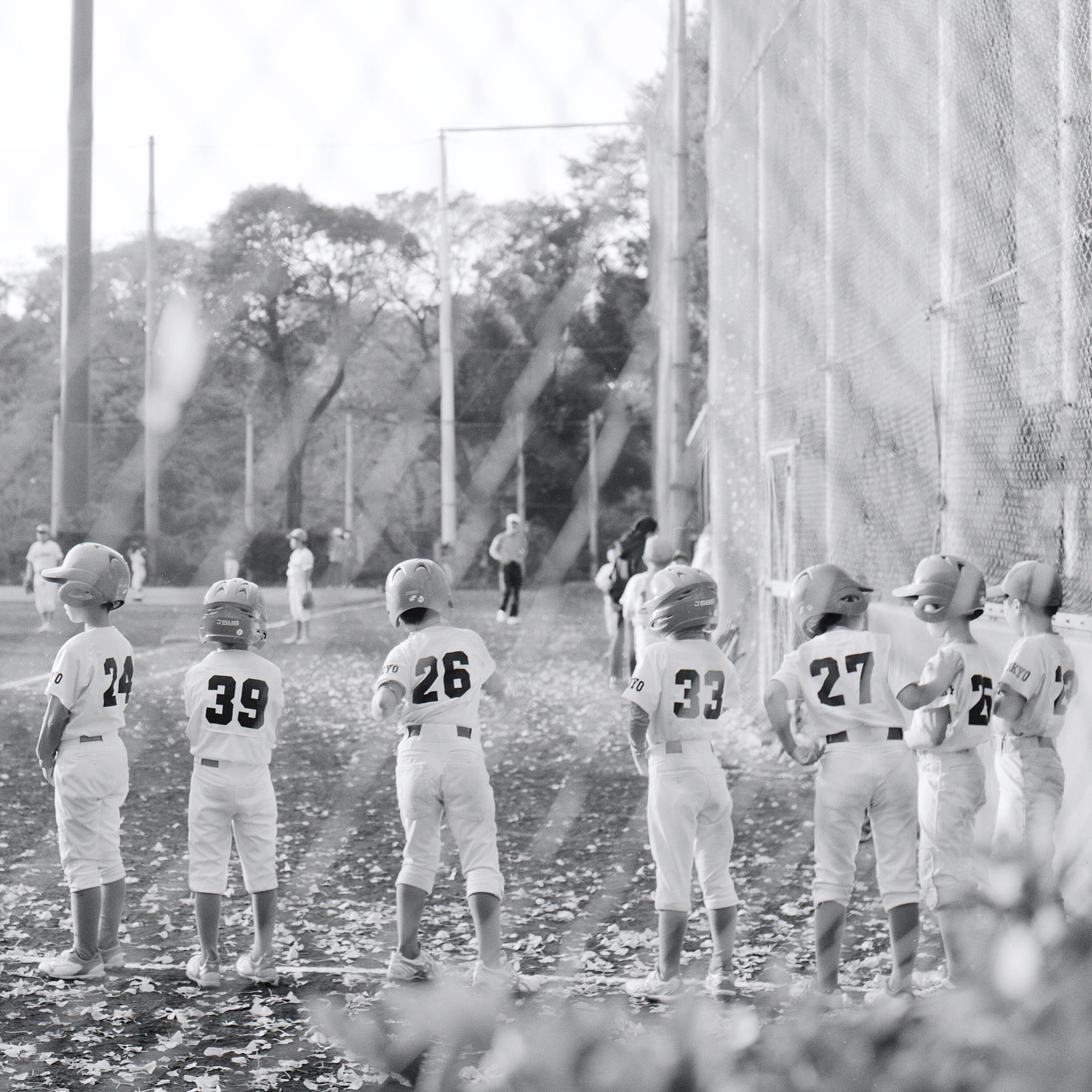 baseball